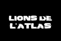 Lions de l'Atlas